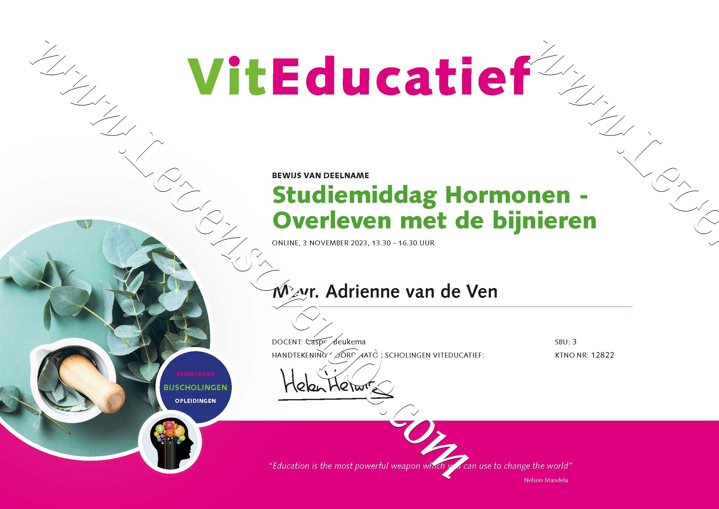 Hormonen - Overleven met de bijnieren